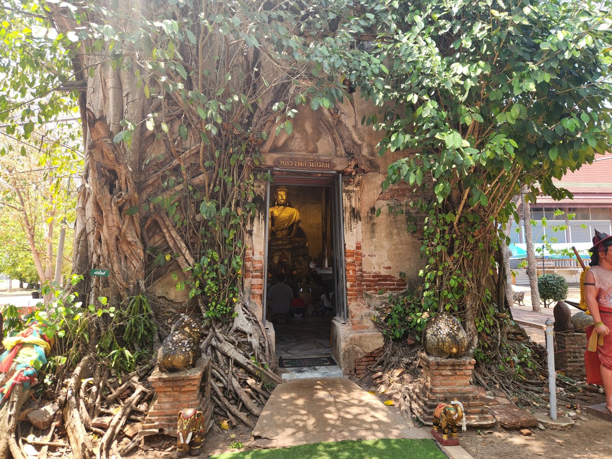 המקדש שהטבע בלע